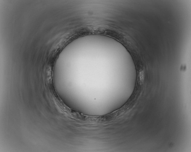X0000110930963200907021519