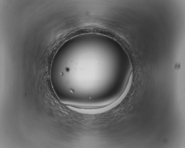 X0000110930965200907021519