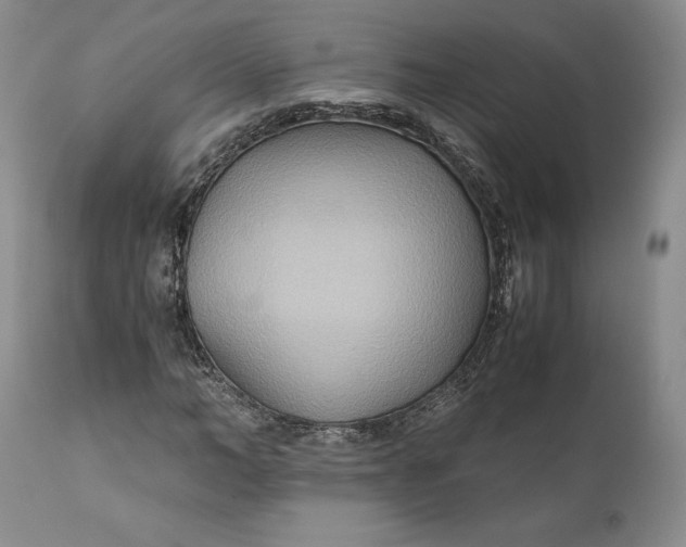 X0000110930966200907021519