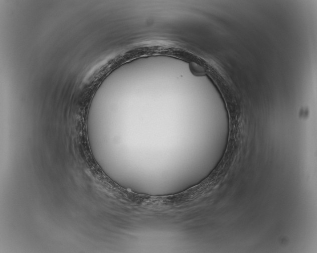X0000110930967200907021519