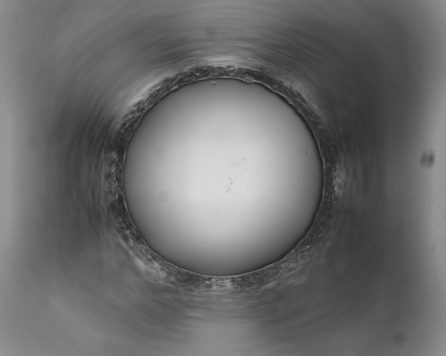 X0000110930968200907021519