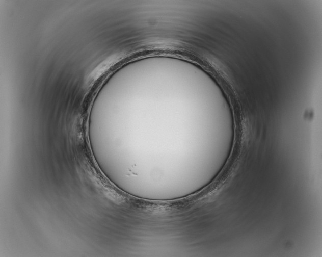 X0000110930970200907021519