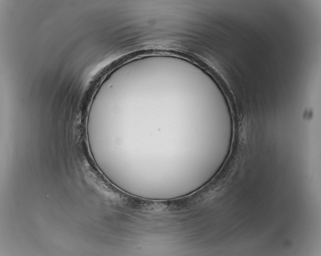 X0000110930971200907021519