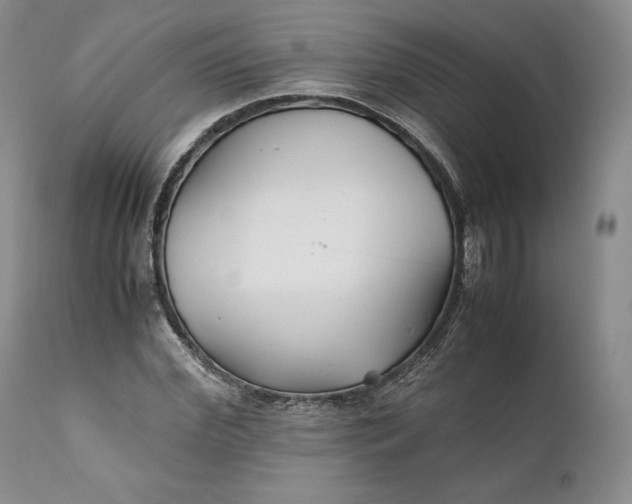 X0000110930972200907021519