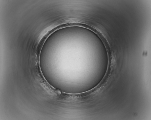 X0000110930973200907021519