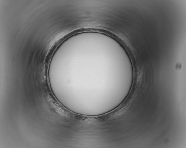 X0000110930974200907021519