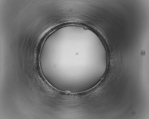 X0000110930975200907021519