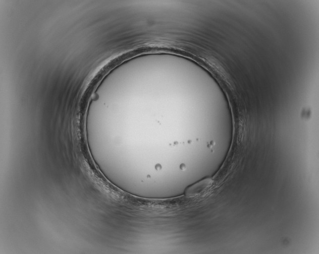 X0000110930976200907021519