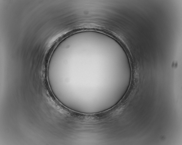 X0000110930979200907021519
