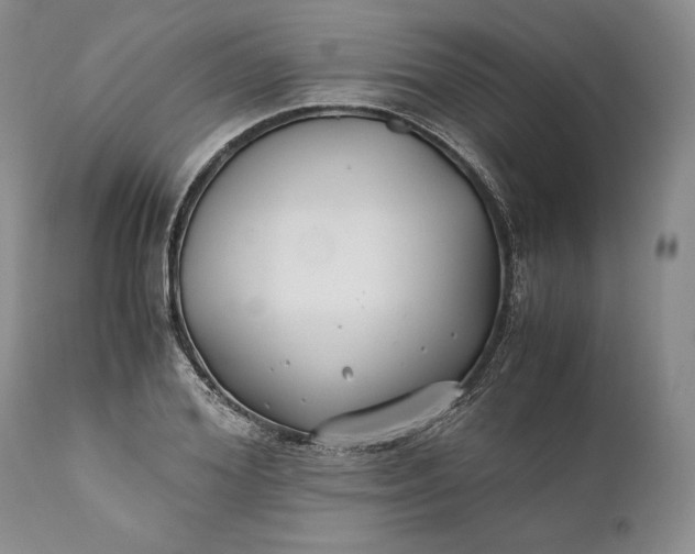 X0000110930980200907021519
