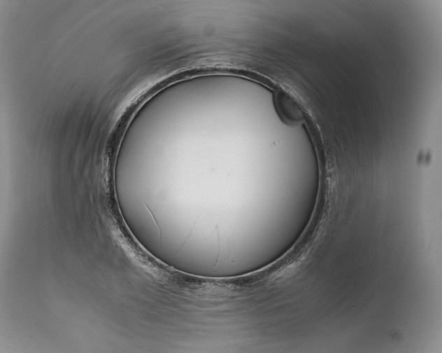 X0000110930981200907021519
