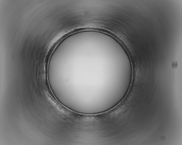 X0000110930982200907021519