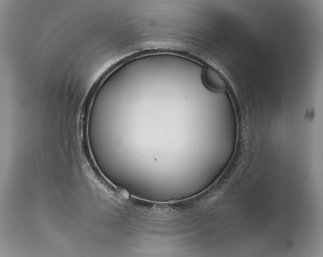 X0000110930983200907021519