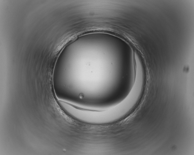 X0000110930985200907021519
