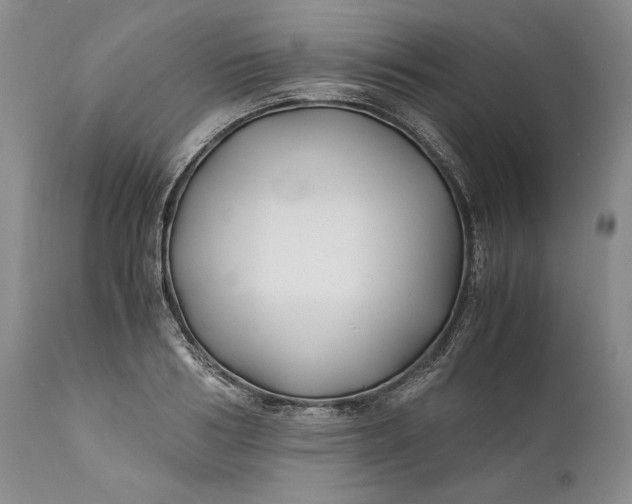 X0000110930986200907021519