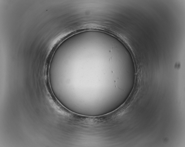 X0000110930987200907021519