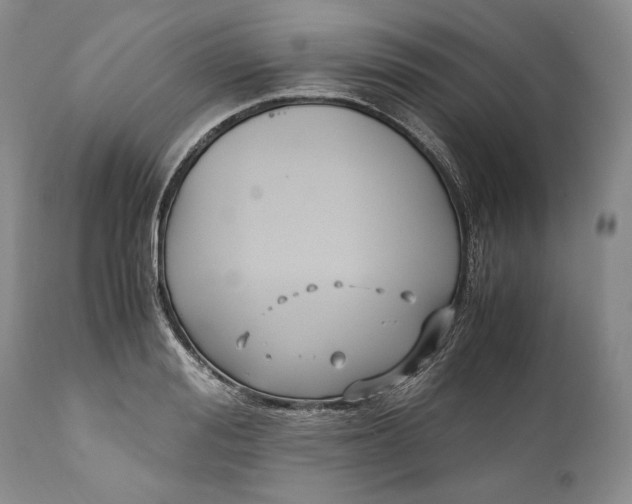 X0000110930988200907021519