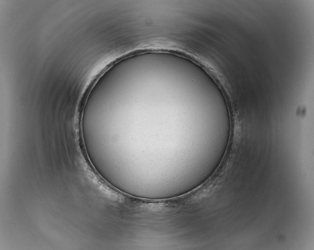 X0000110930990200907021519