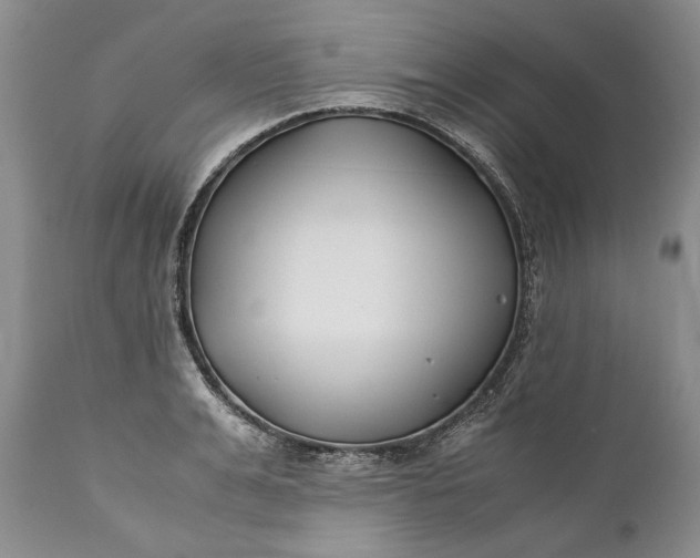 X0000110930991200907021519