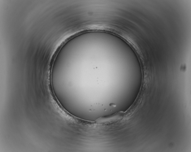 X0000110930992200907021519