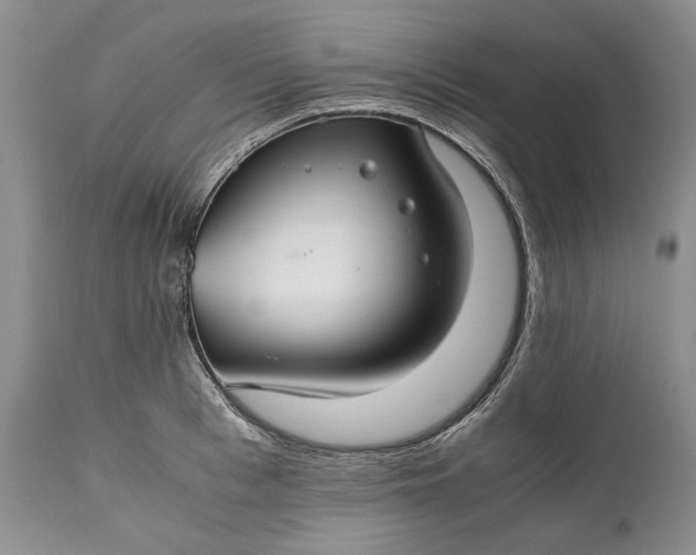 X0000110930993200907021519