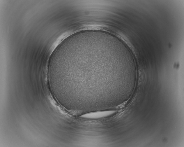 X0000110930994200907021518