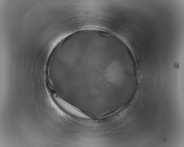 X0000110930995200907021518