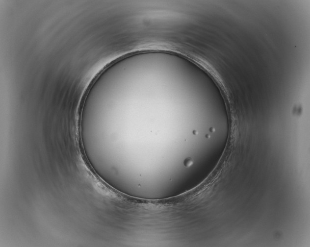 X0000110930996200907021518