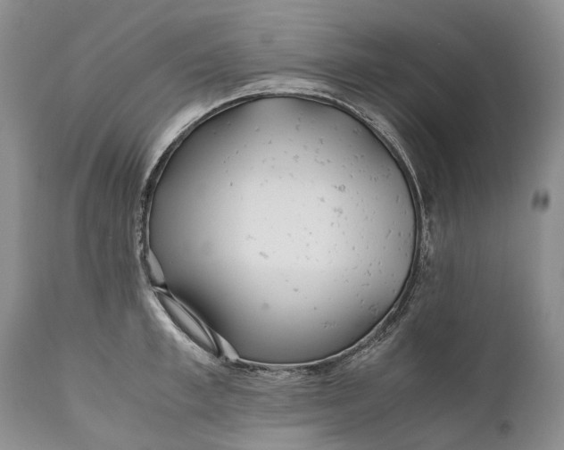 X0000110930997200907021518