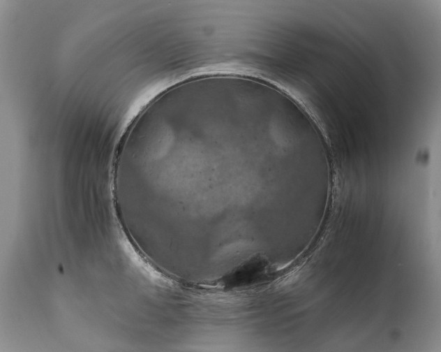 X0000110930998200907021518