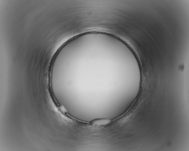 X0000110930999200907021518