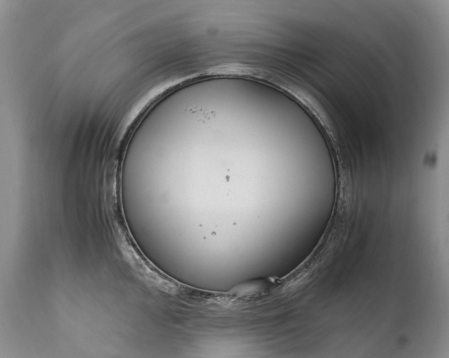 X0000110931000200907021518