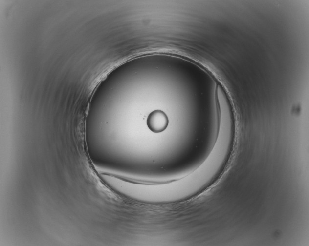 X0000110931001200907021518