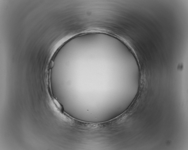 X0000110931003200907021518
