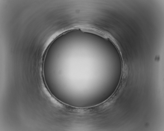 X0000110931005200907021518