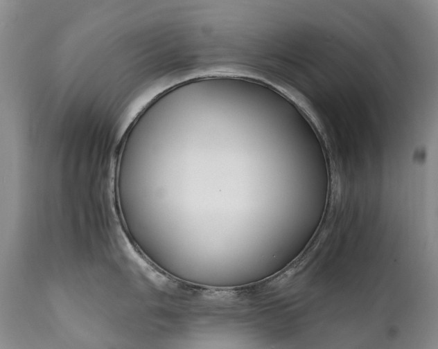 X0000110931006200907021518