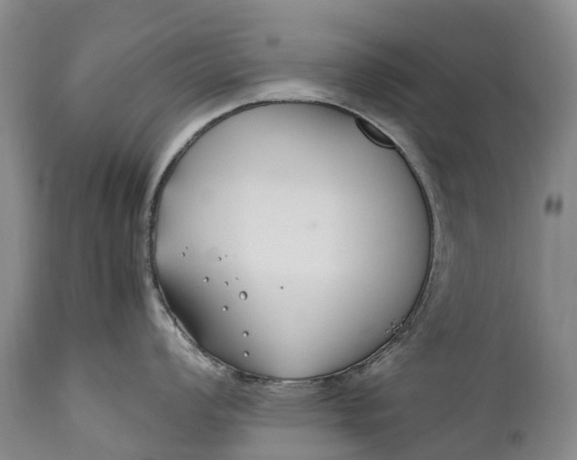 X0000110931008200907021518