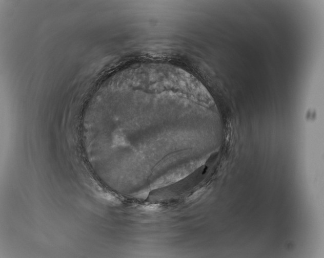 X0000110931009200907021518
