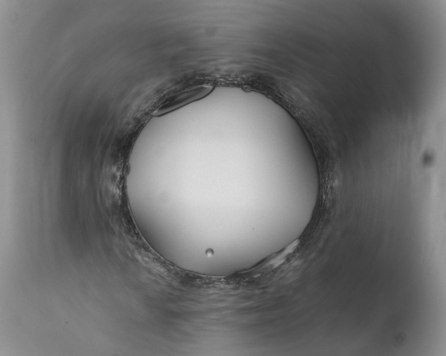 X0000110931010200907021518