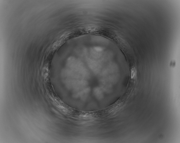 X0000110931011200907021518