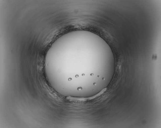 X0000110931012200907021518