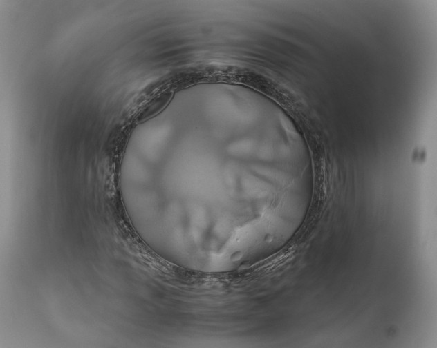X0000110931013200907021518