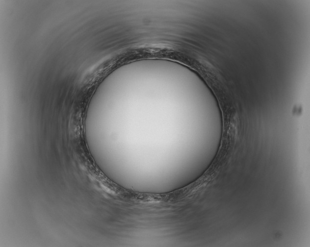 X0000110931014200907021518