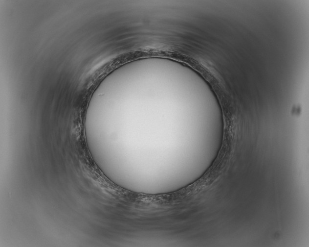 X0000110931015200907021518