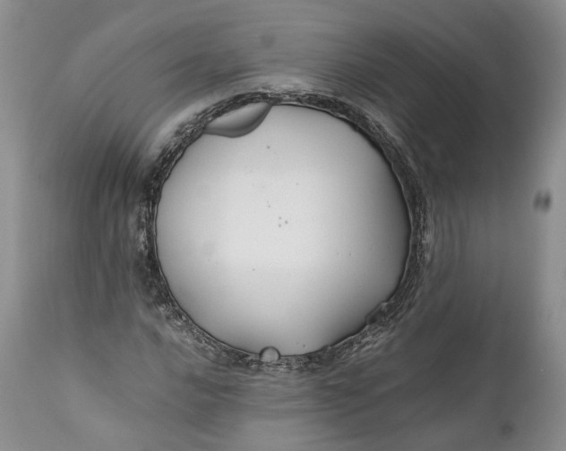 X0000110931016200907021518