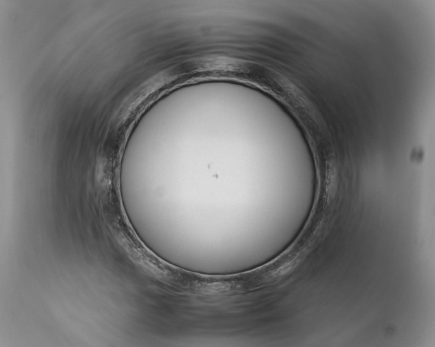 X0000110931017200907021518