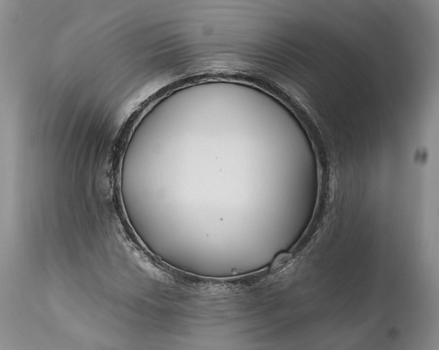 X0000110931018200907021518