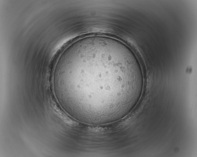 X0000110931019200907021518