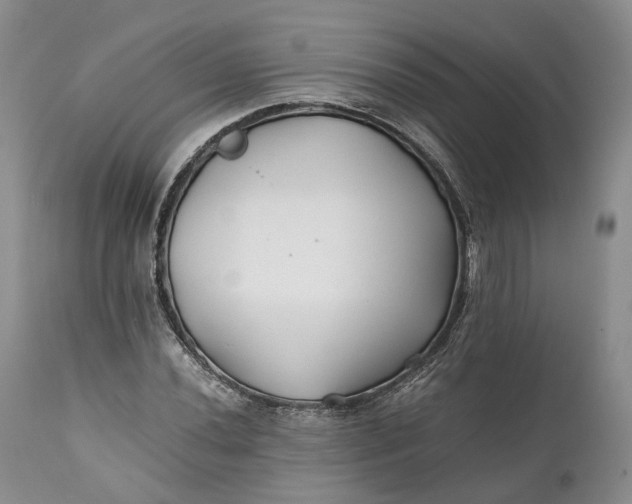 X0000110931020200907021518