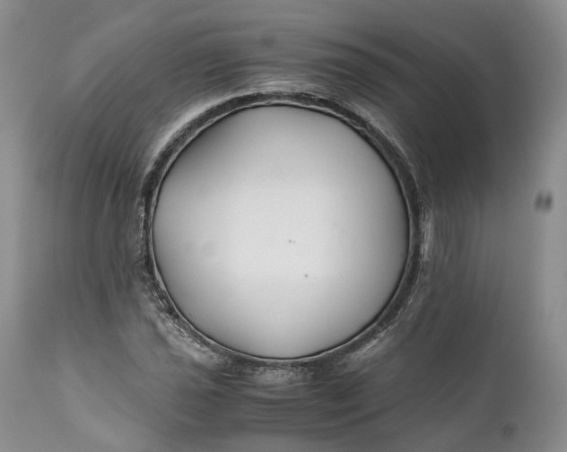 X0000110931021200907021518